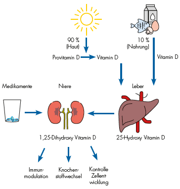 vitamind 1